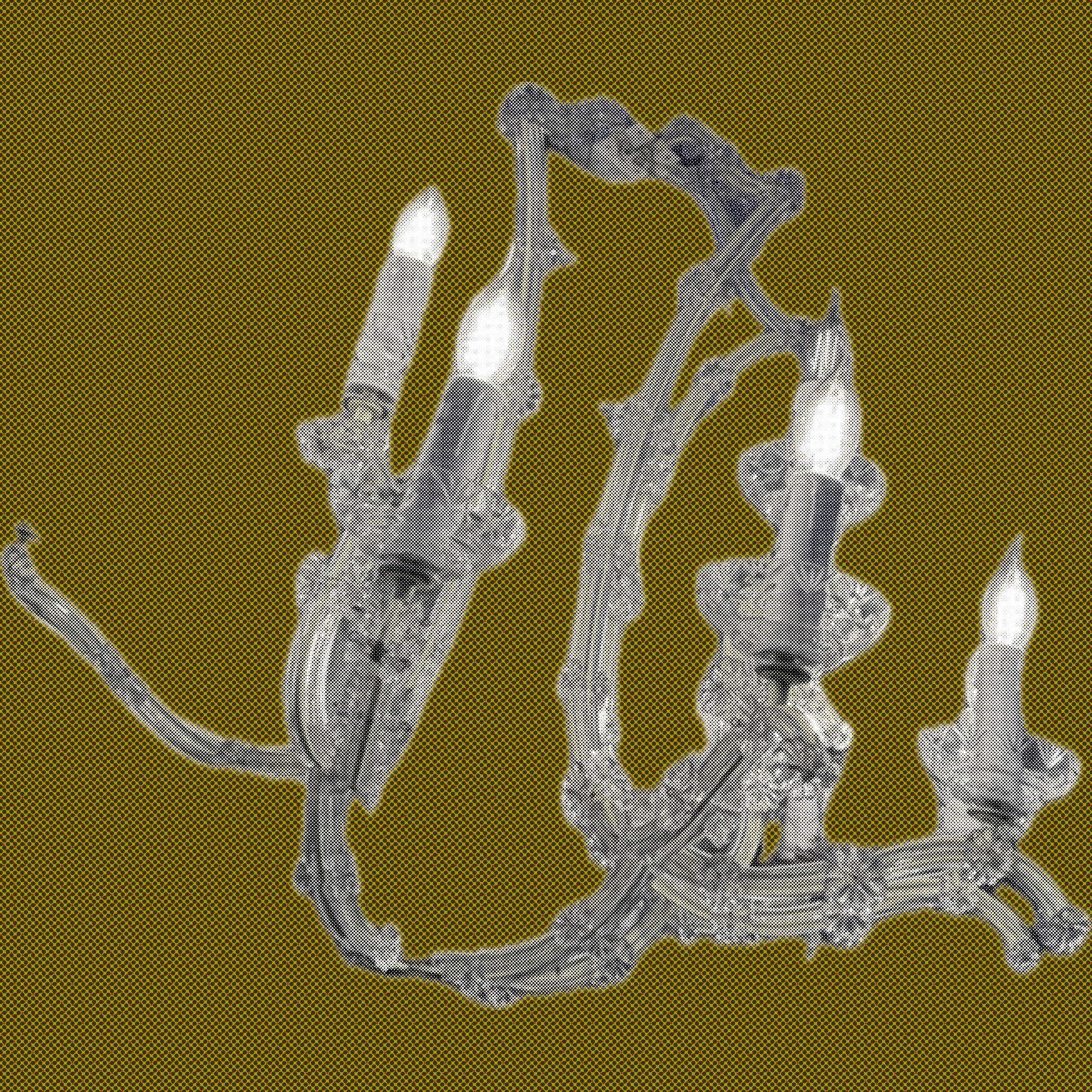 COMMUNITY GETAWAY 01 / 2026