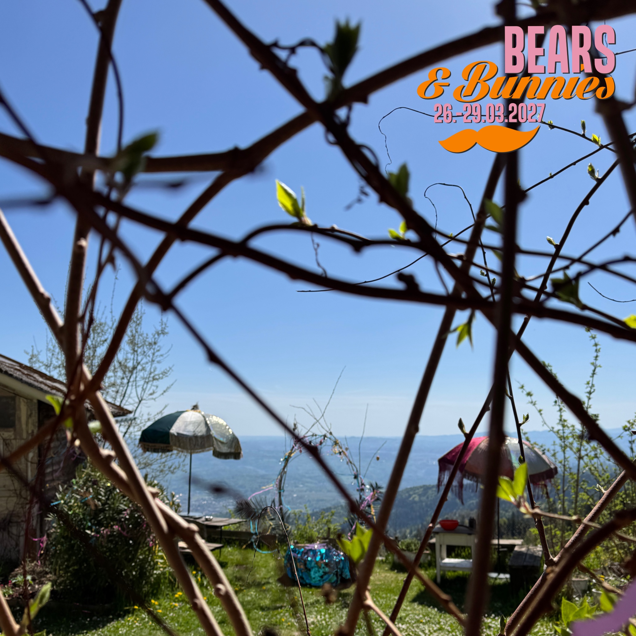 BEARS & BUNNIES 2027