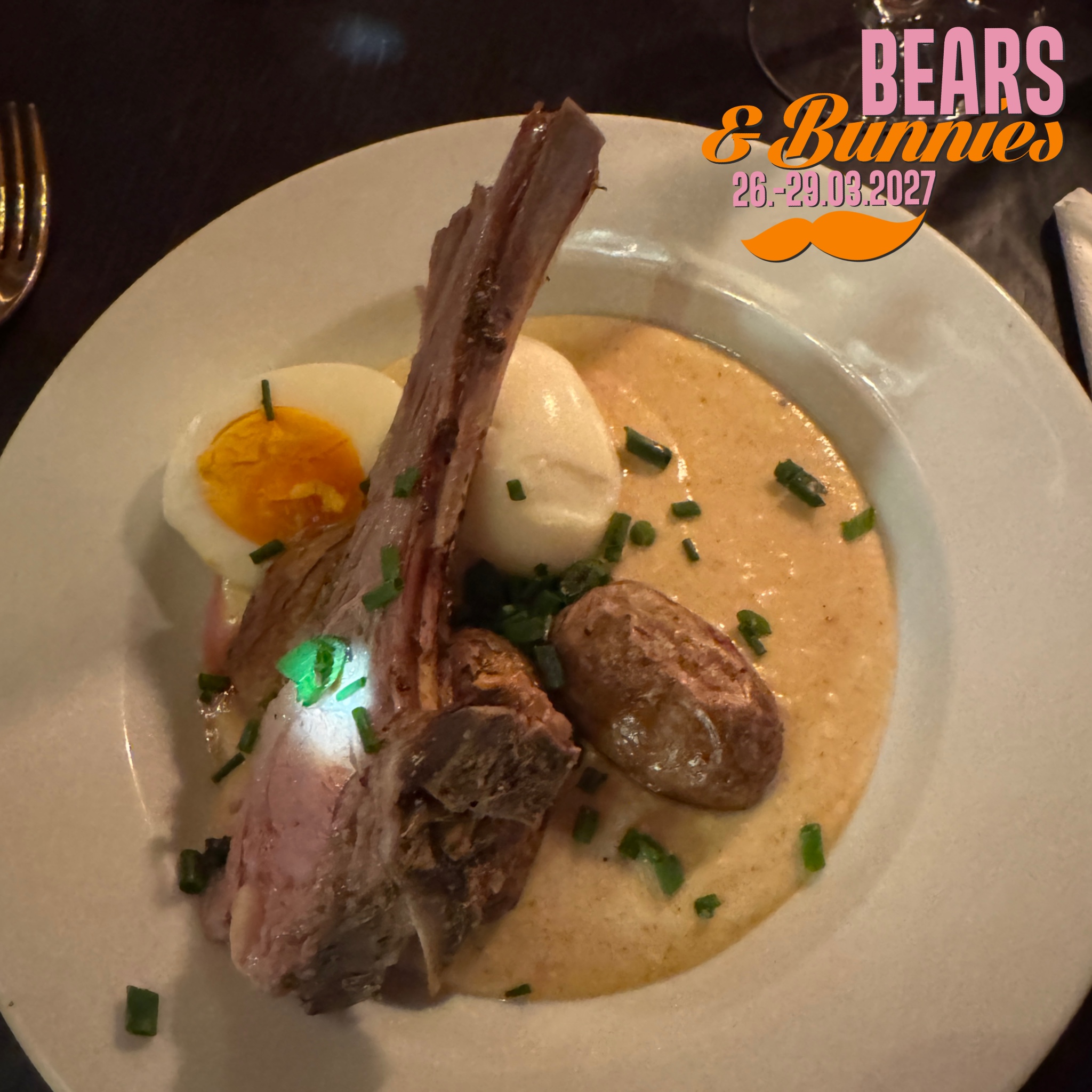 BEARS & BUNNIES 2027